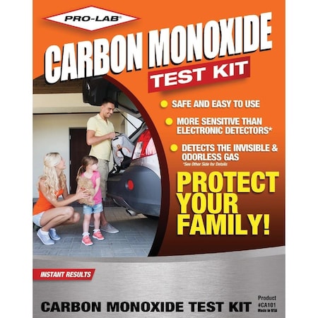 Pro Lab Instant Results Carbon Monoxide Test Kit CA101